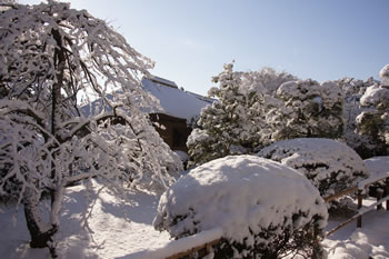 雪に覆われた好文亭
