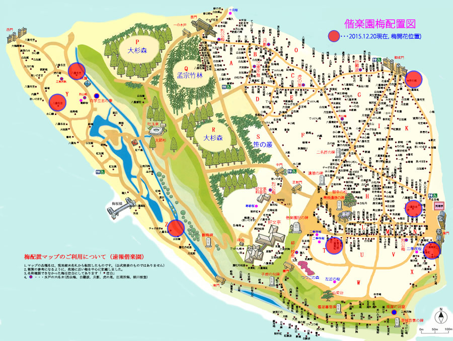 偕楽園梅開花位置　2015012.20